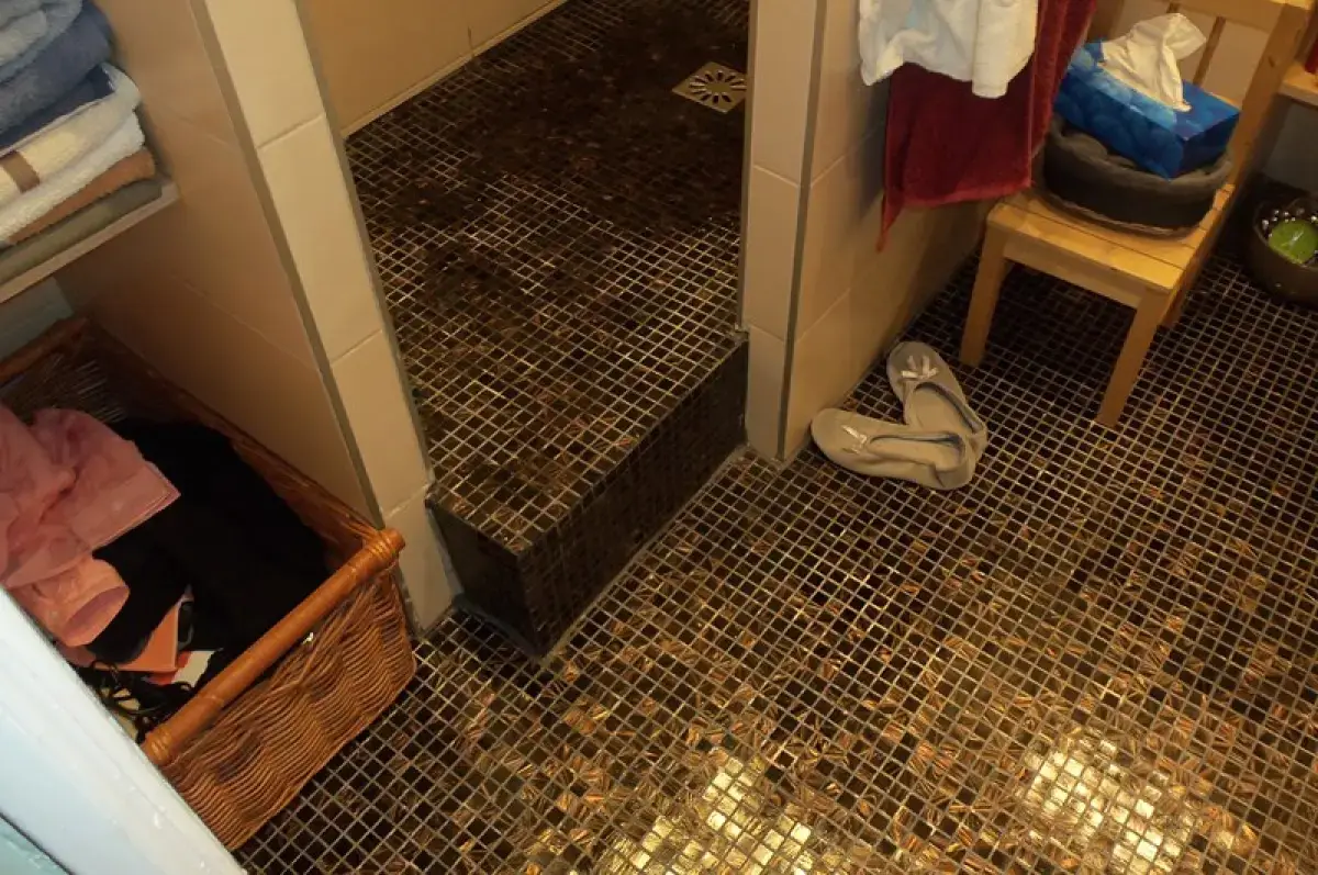 Salle de bain rénovée